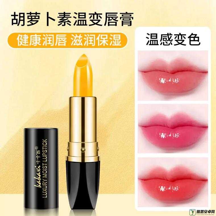 YSL 千人千色 T9T9T9T9MMD 引发 美妆界色彩新潮流探索